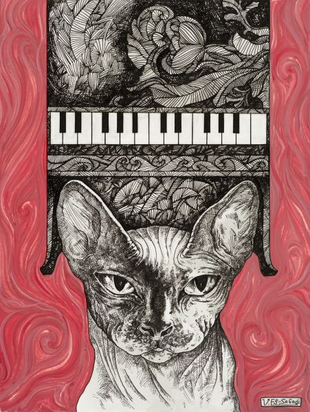 Кот-пианист.